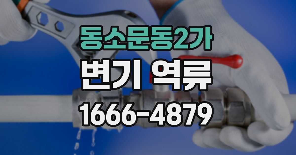 동소문동2가 변기 역류