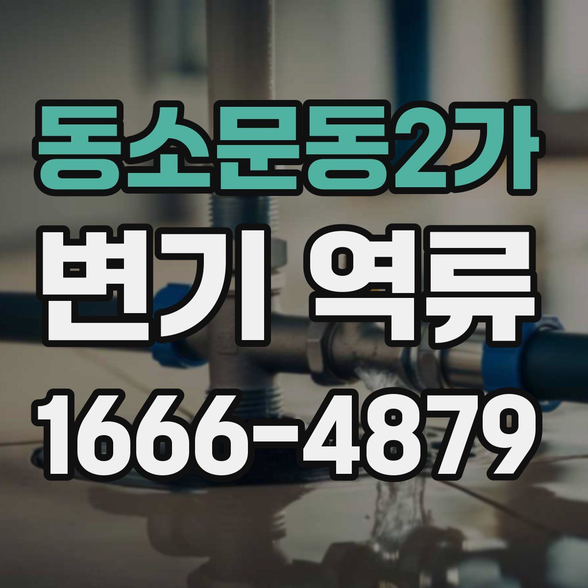 동소문동2가 변기 역류