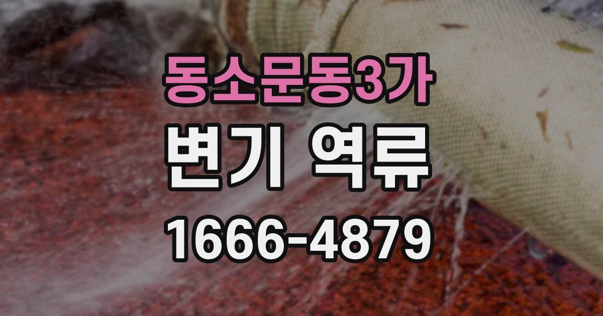 동소문동3가 변기 역류