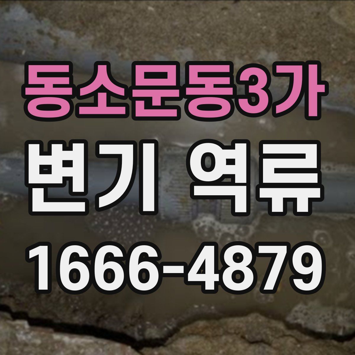 동소문동3가 변기 역류
