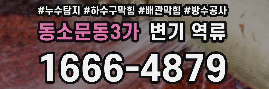 동소문동3가 변기 역류