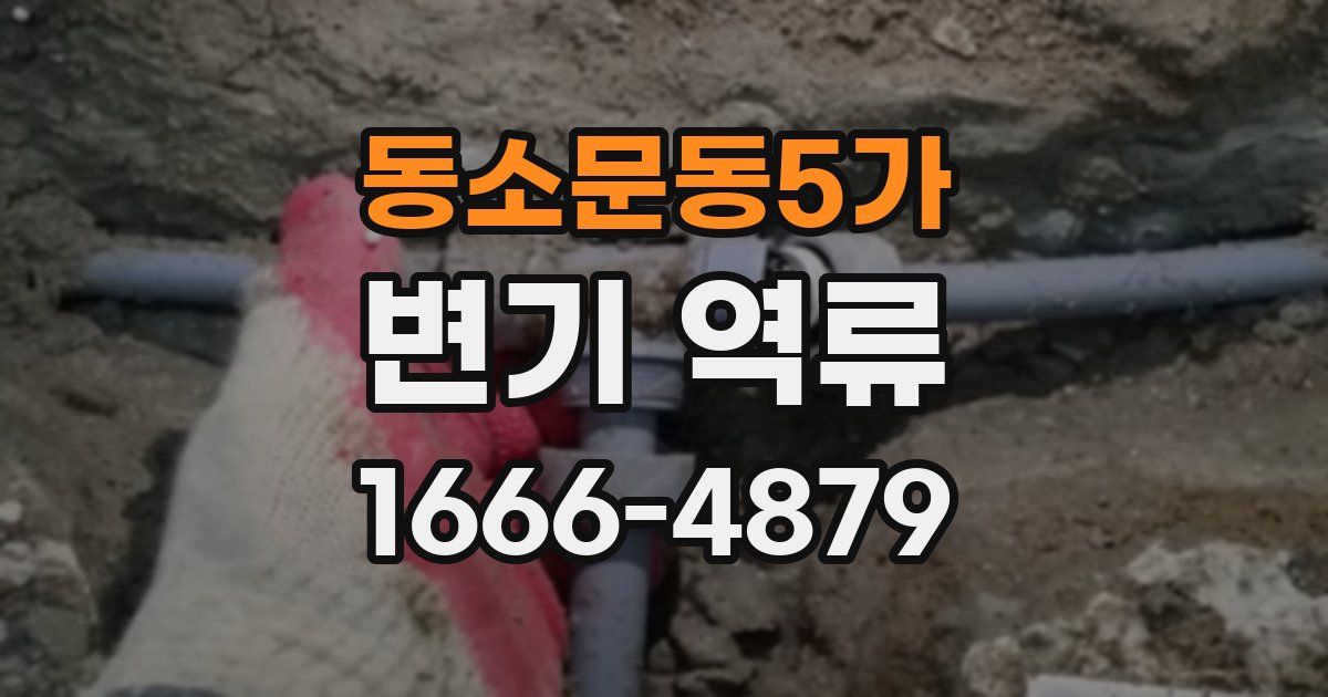 동소문동5가 변기 역류