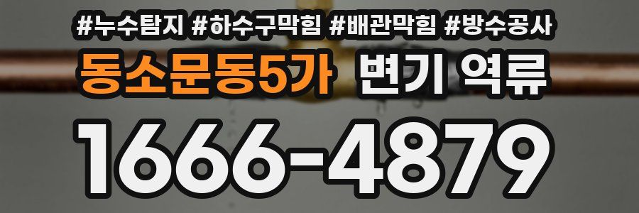 동소문동5가 변기 역류