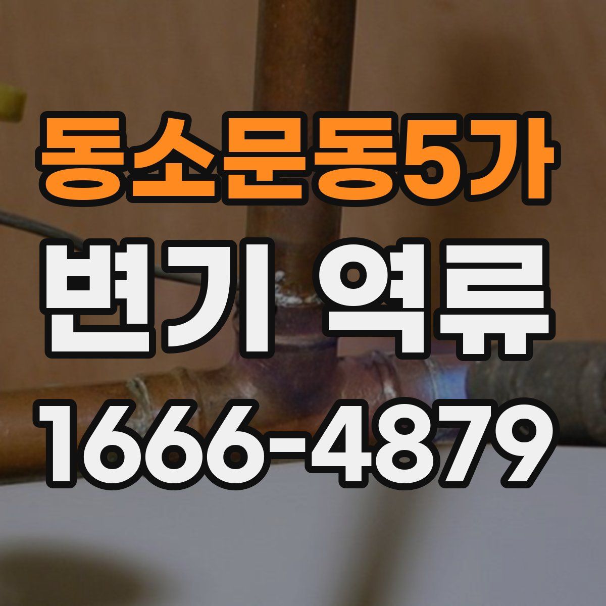 동소문동5가 변기 역류