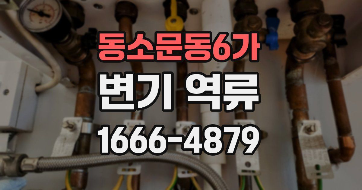 동소문동6가 변기 역류
