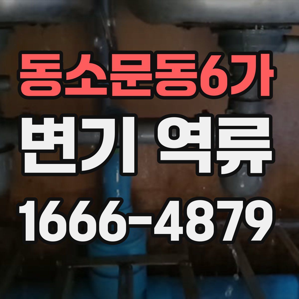 동소문동6가 변기 역류