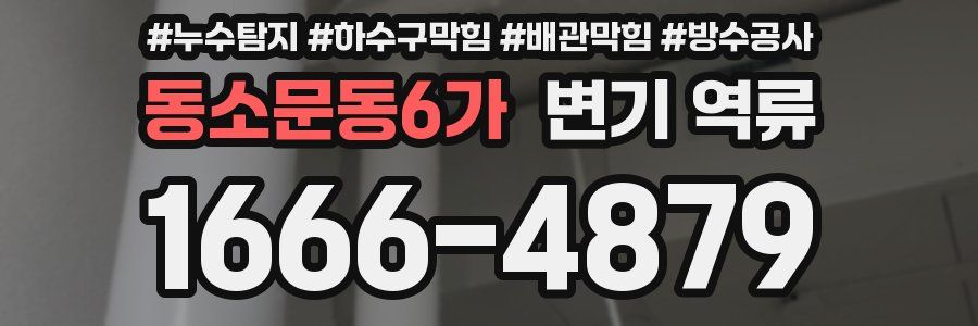 동소문동6가 변기 역류