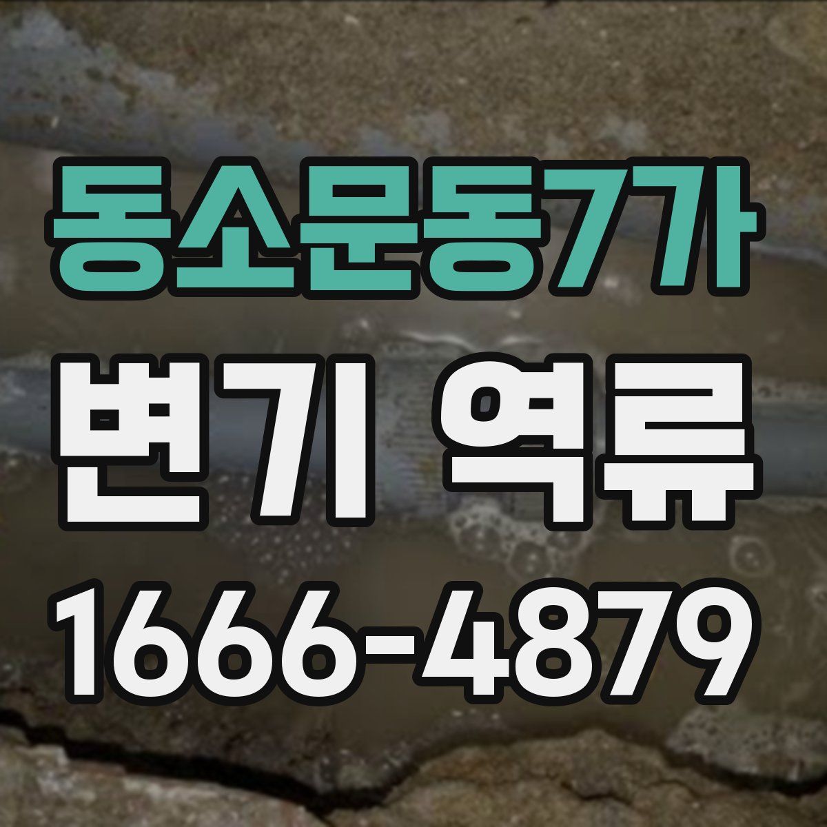 동소문동7가 변기 역류