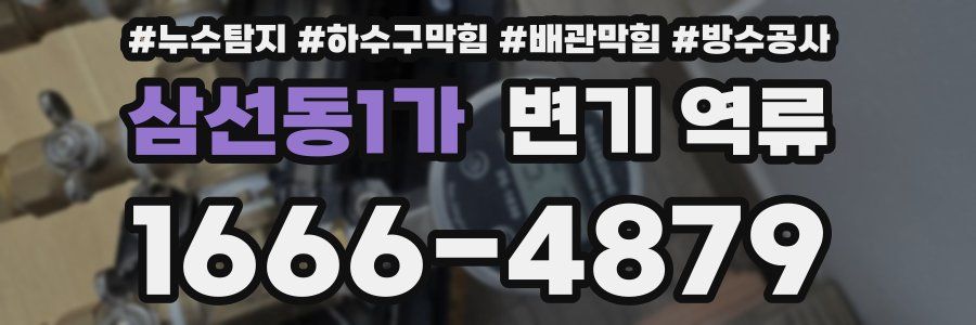 삼선동1가 변기 역류