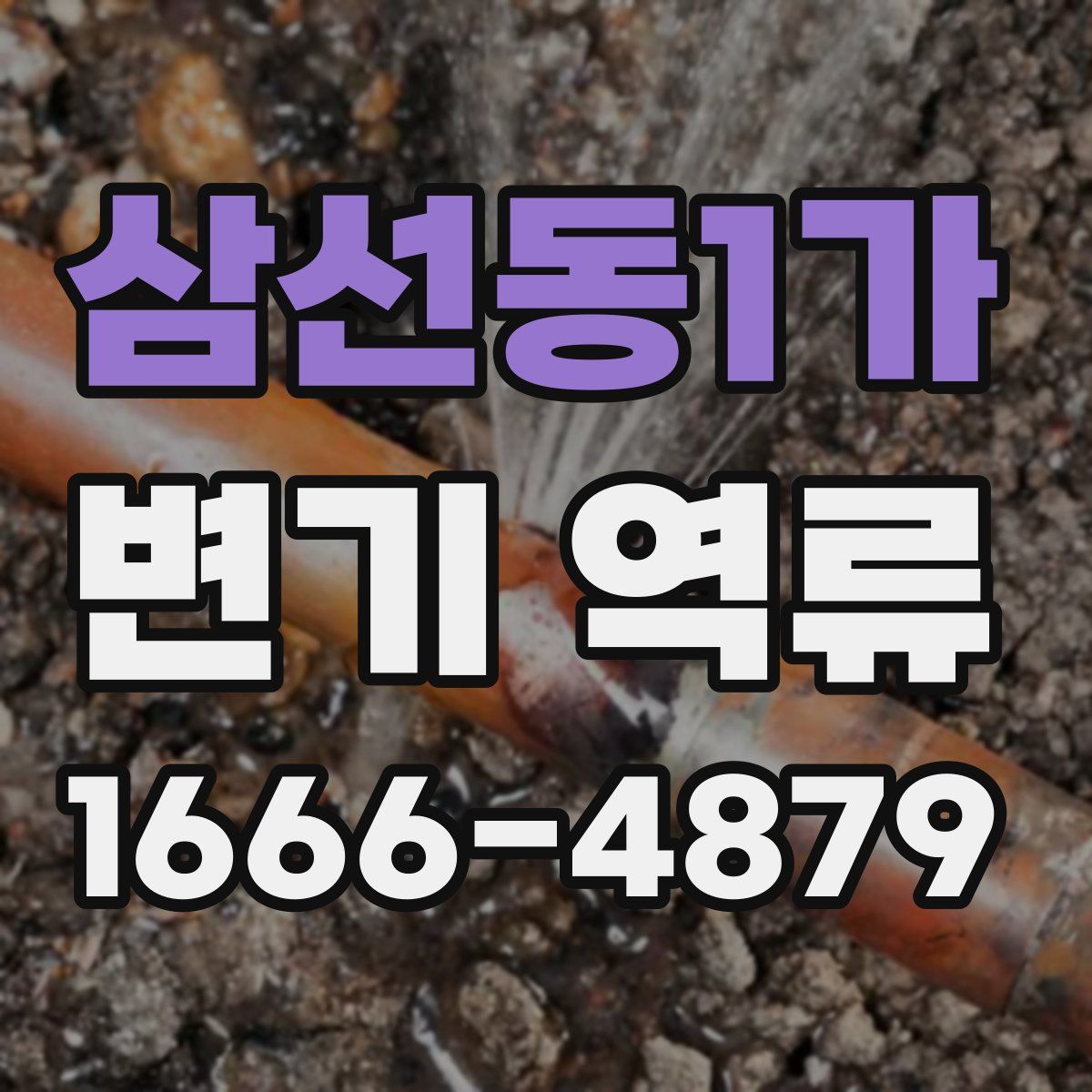 삼선동1가 변기 역류