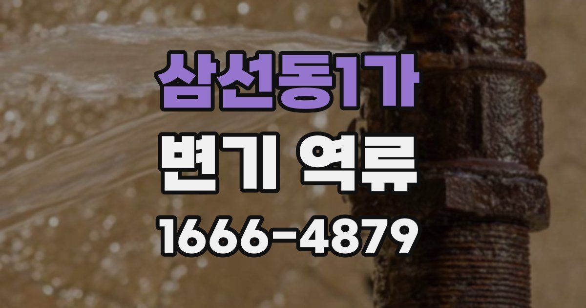 삼선동1가 변기 역류
