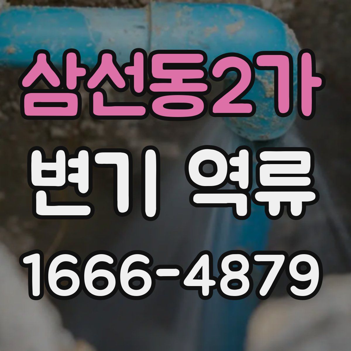 삼선동2가 변기 역류