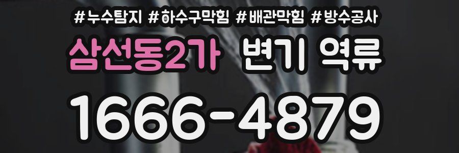 삼선동2가 변기 역류