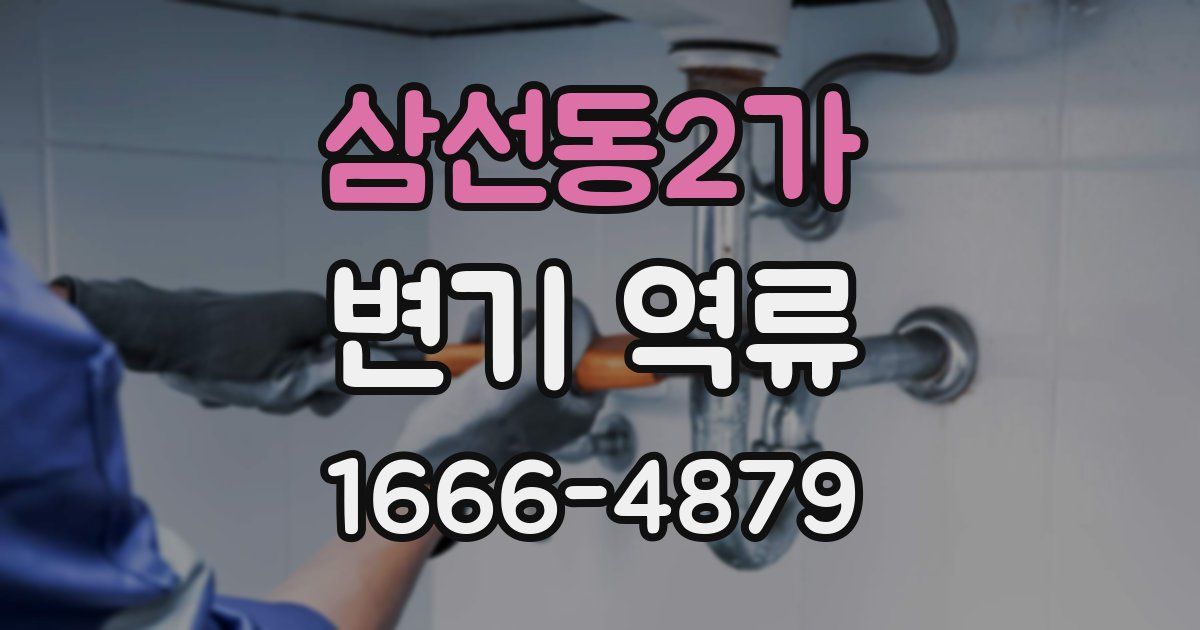 삼선동2가 변기 역류