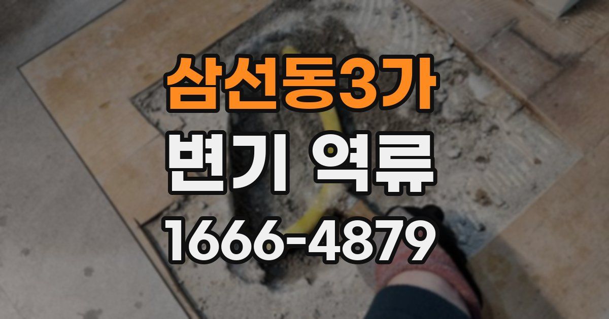 삼선동3가 변기 역류