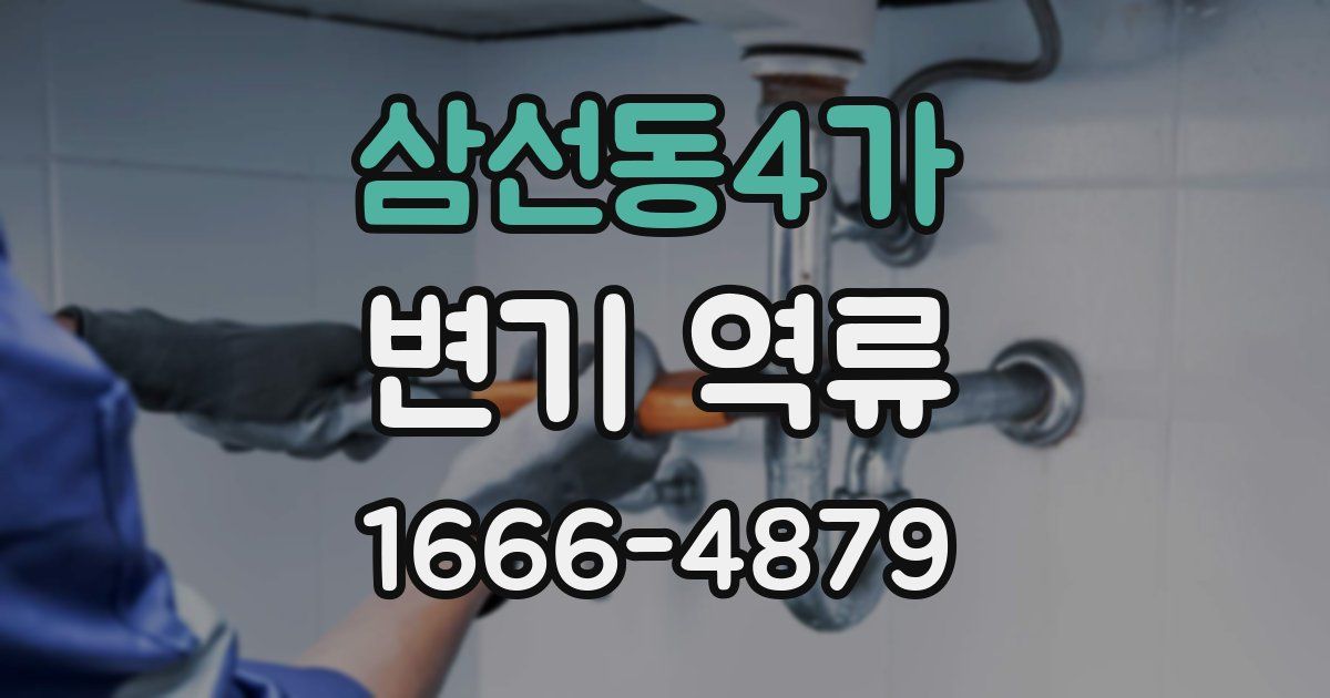 삼선동4가 변기 역류