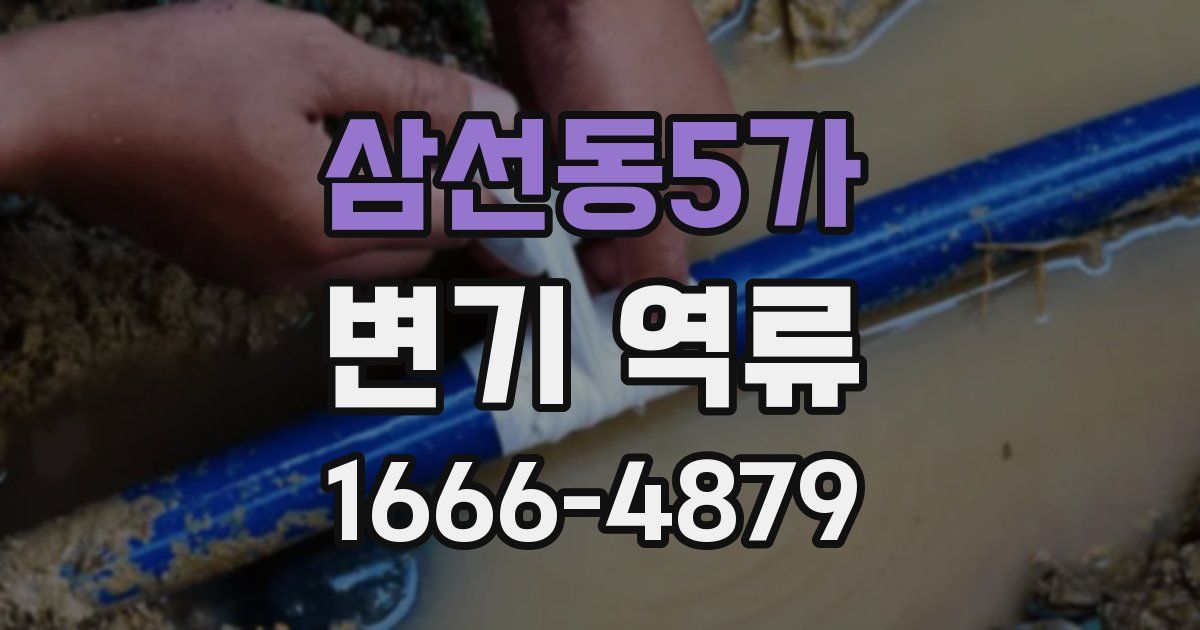 삼선동5가 변기 역류