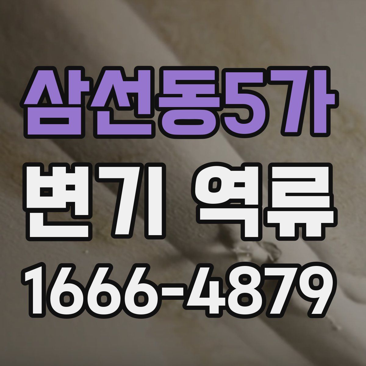 삼선동5가 변기 역류