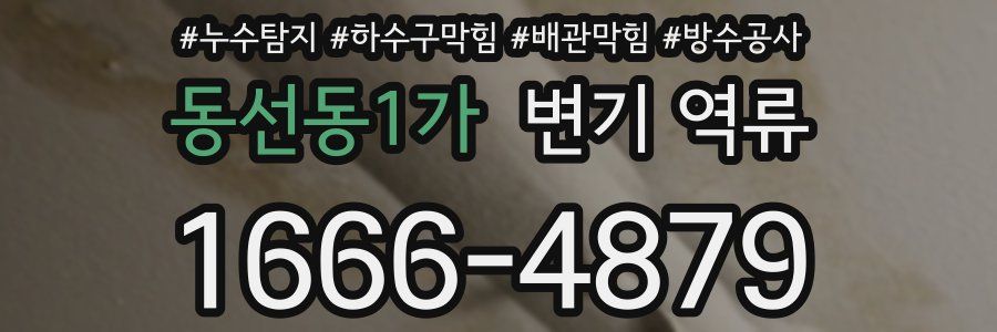 동선동1가 변기 역류