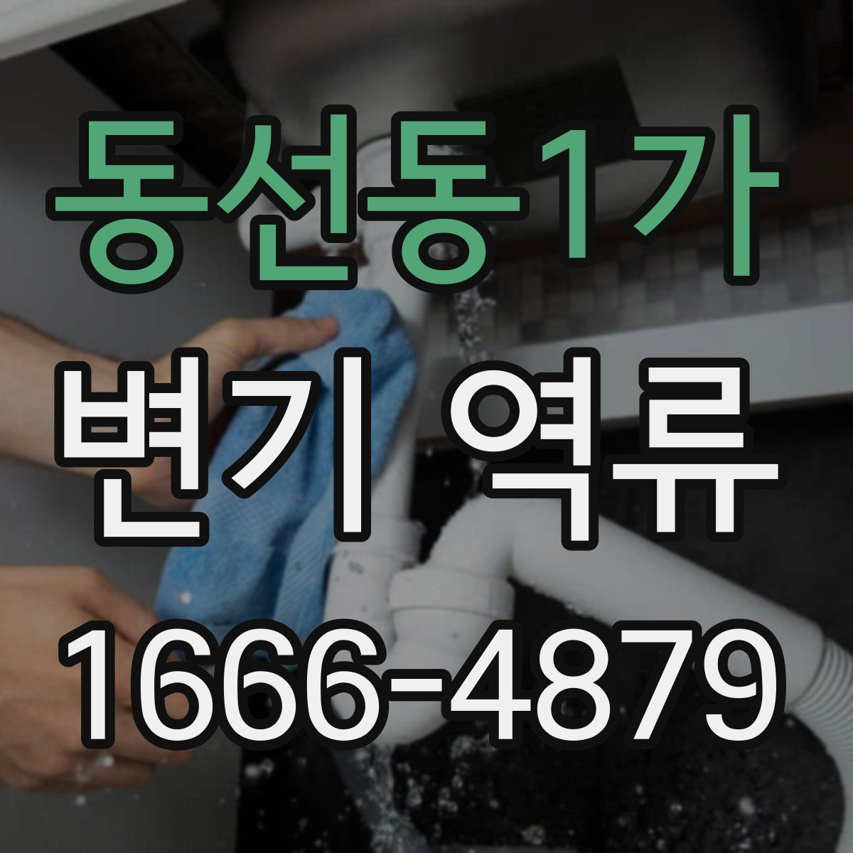 동선동1가 변기 역류