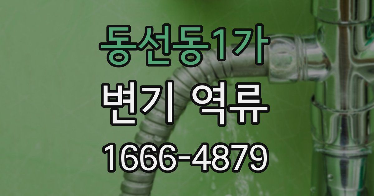 동선동1가 변기 역류