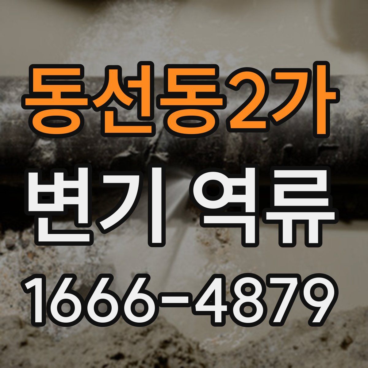 동선동2가 변기 역류