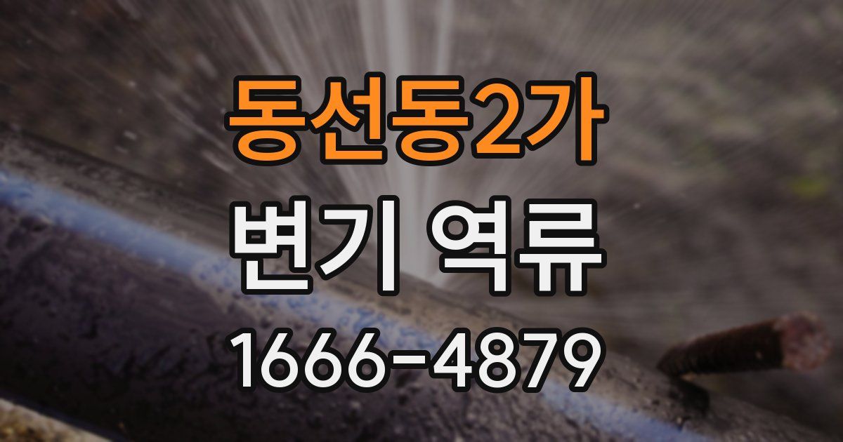 동선동2가 변기 역류