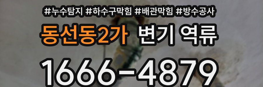 동선동2가 변기 역류