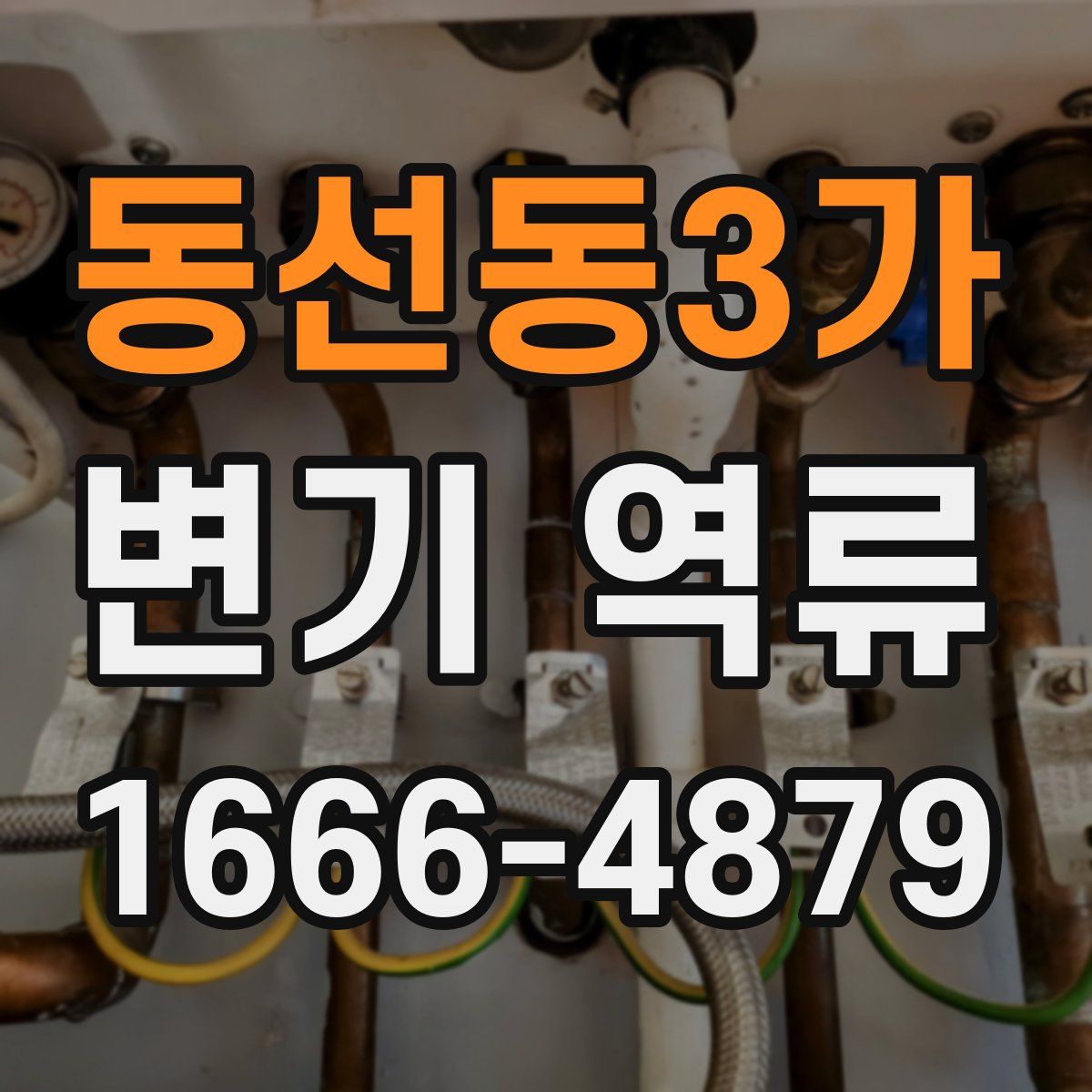 동선동3가 변기 역류