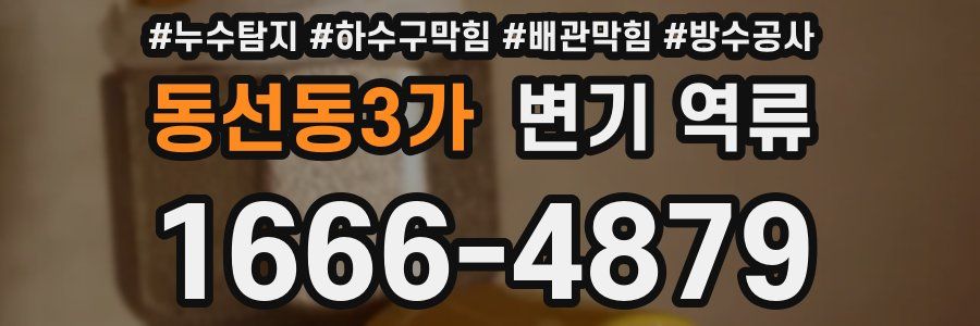 동선동3가 변기 역류