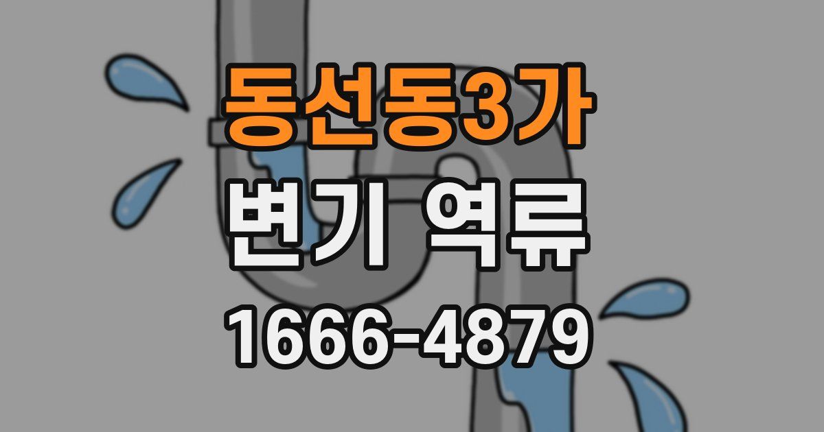 동선동3가 변기 역류
