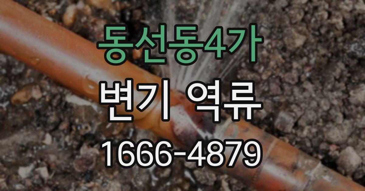 동선동4가 변기 역류