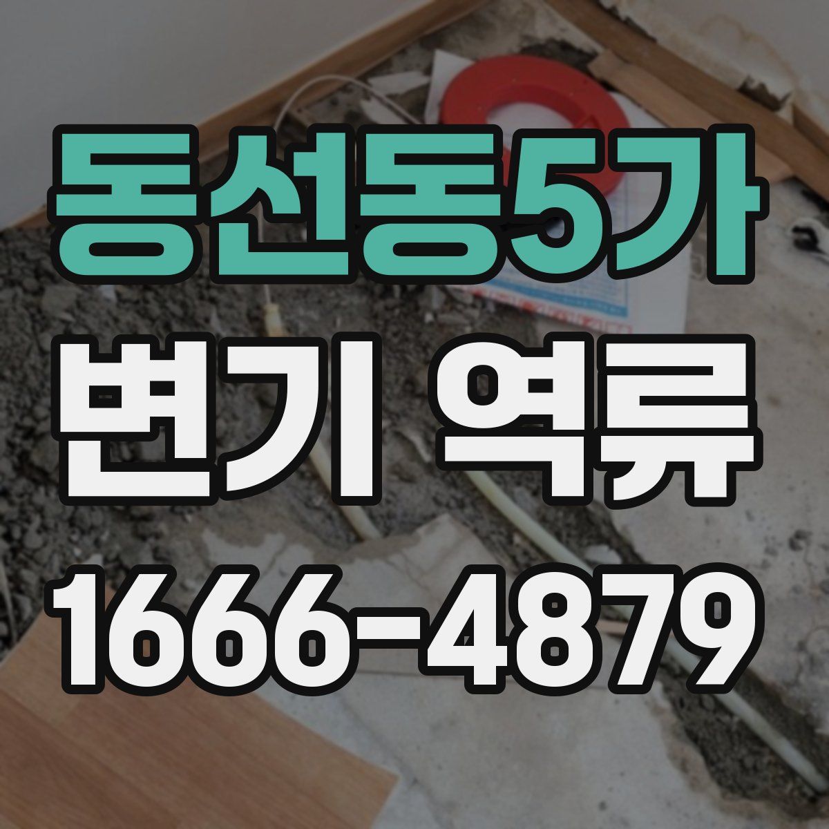동선동5가 변기 역류