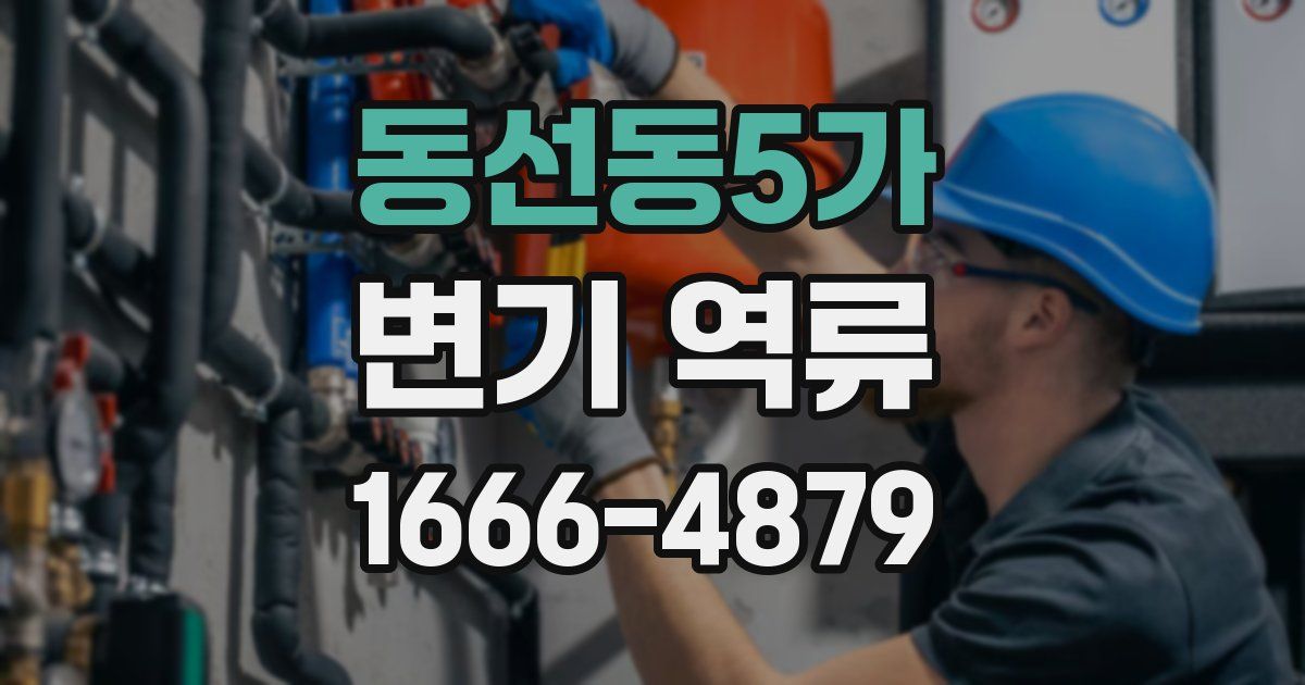 동선동5가 변기 역류
