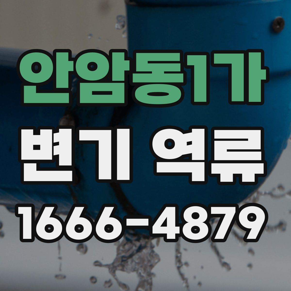 안암동1가 변기 역류