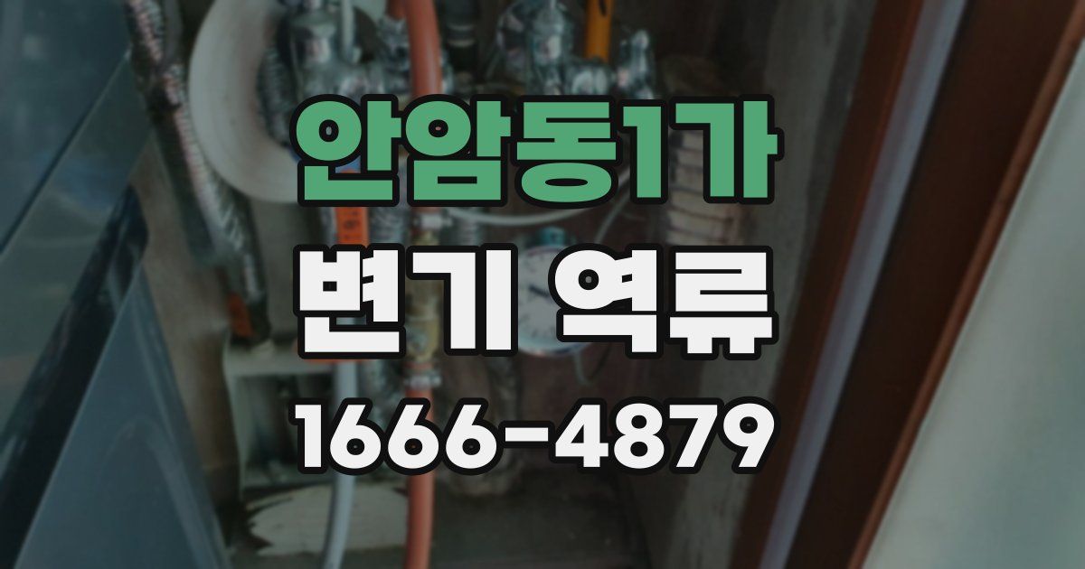 안암동1가 변기 역류