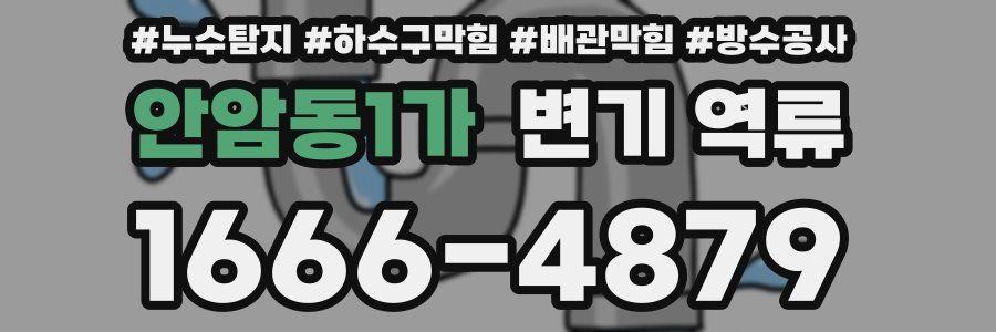 안암동1가 변기 역류