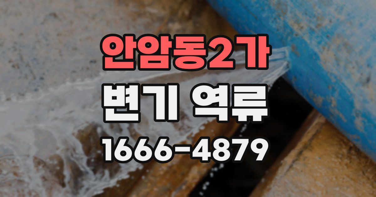 안암동2가 변기 역류