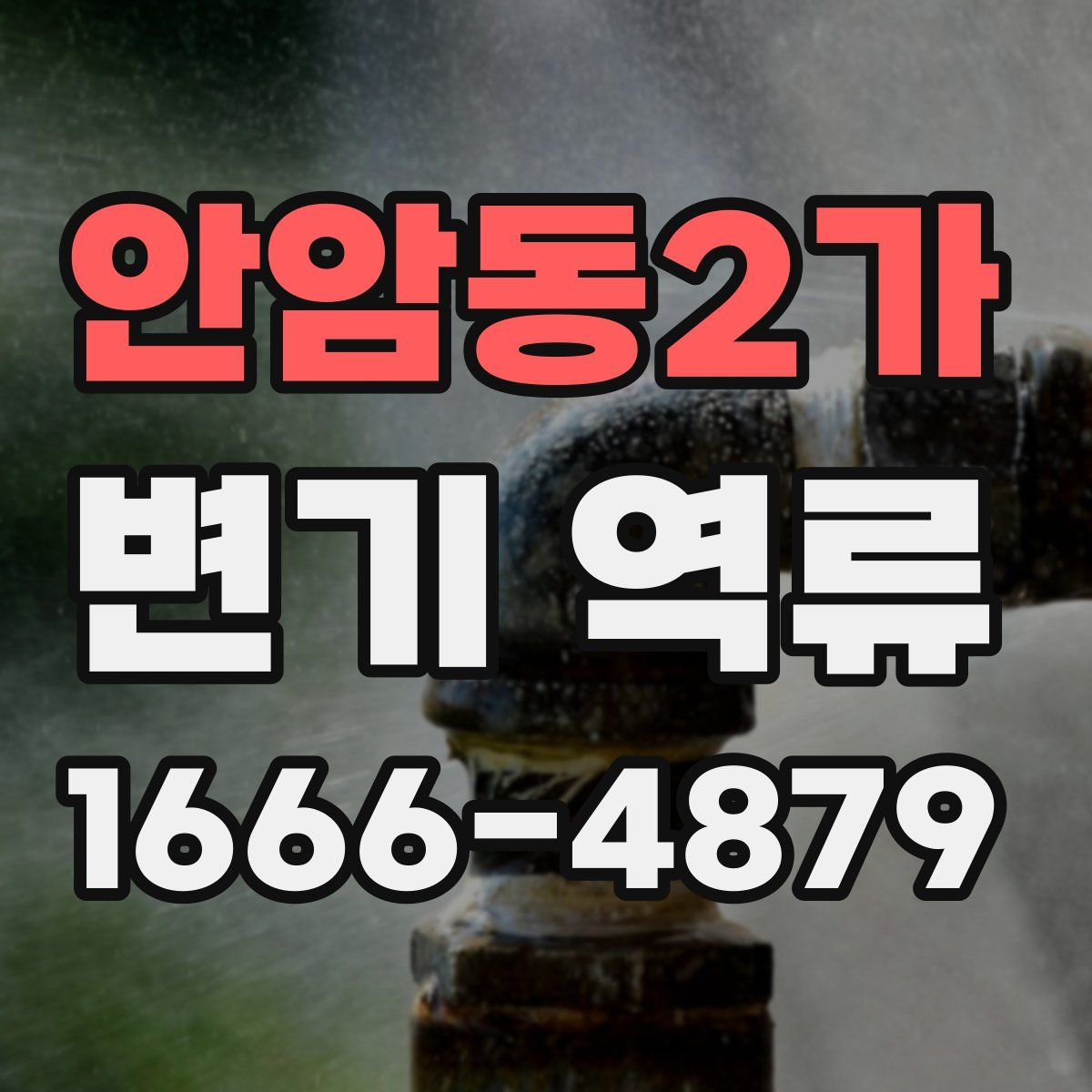 안암동2가 변기 역류