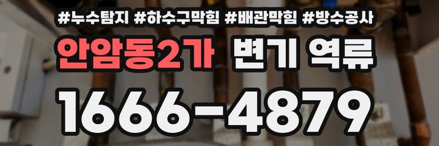 안암동2가 변기 역류