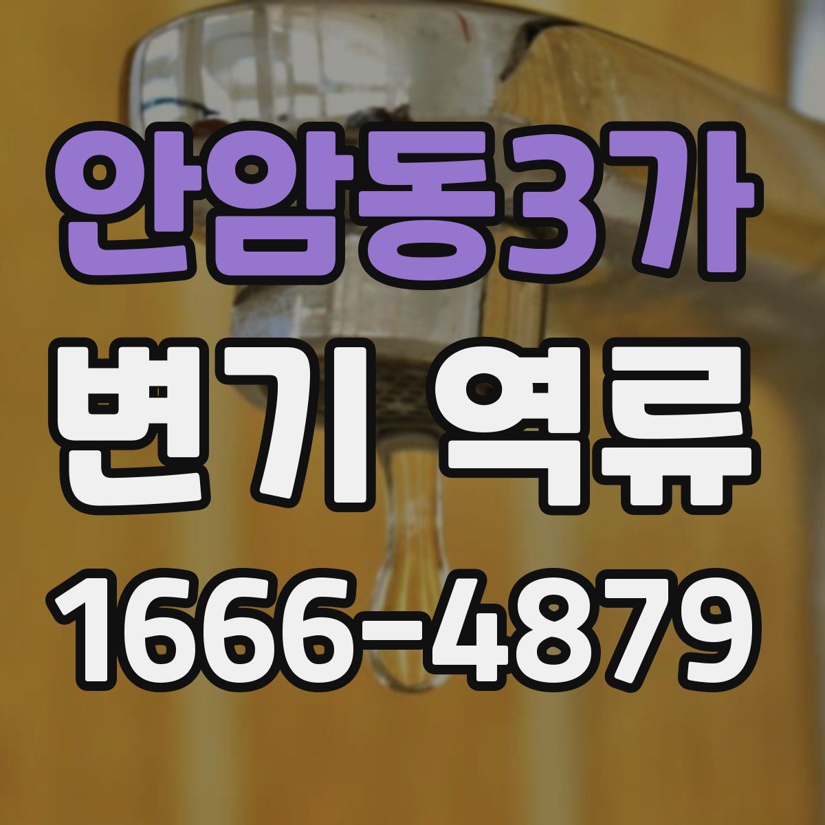 안암동3가 변기 역류