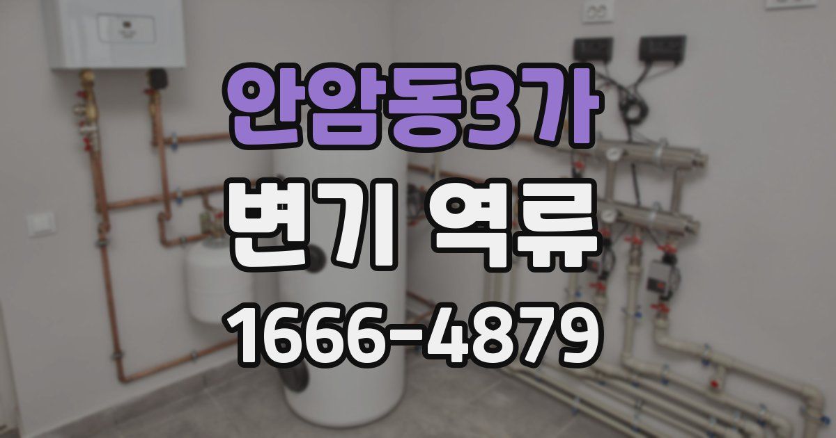 안암동3가 변기 역류