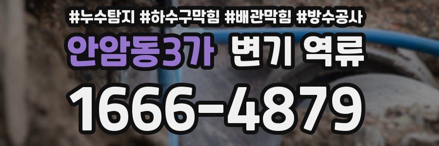 안암동3가 변기 역류
