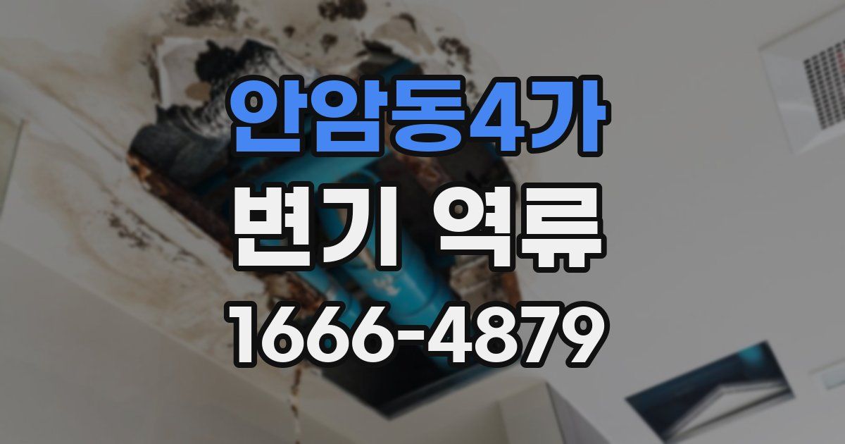 안암동4가 변기 역류