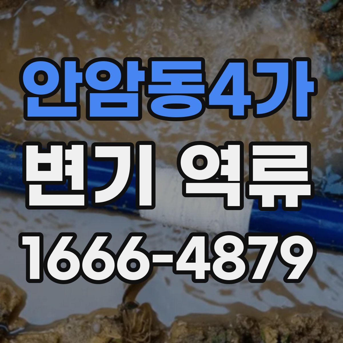 안암동4가 변기 역류