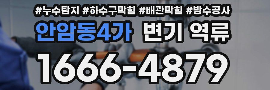 안암동4가 변기 역류