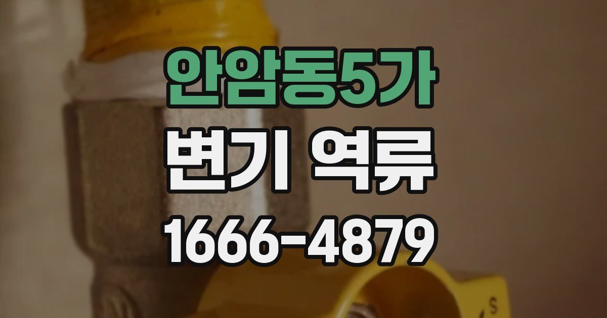 안암동5가 변기 역류