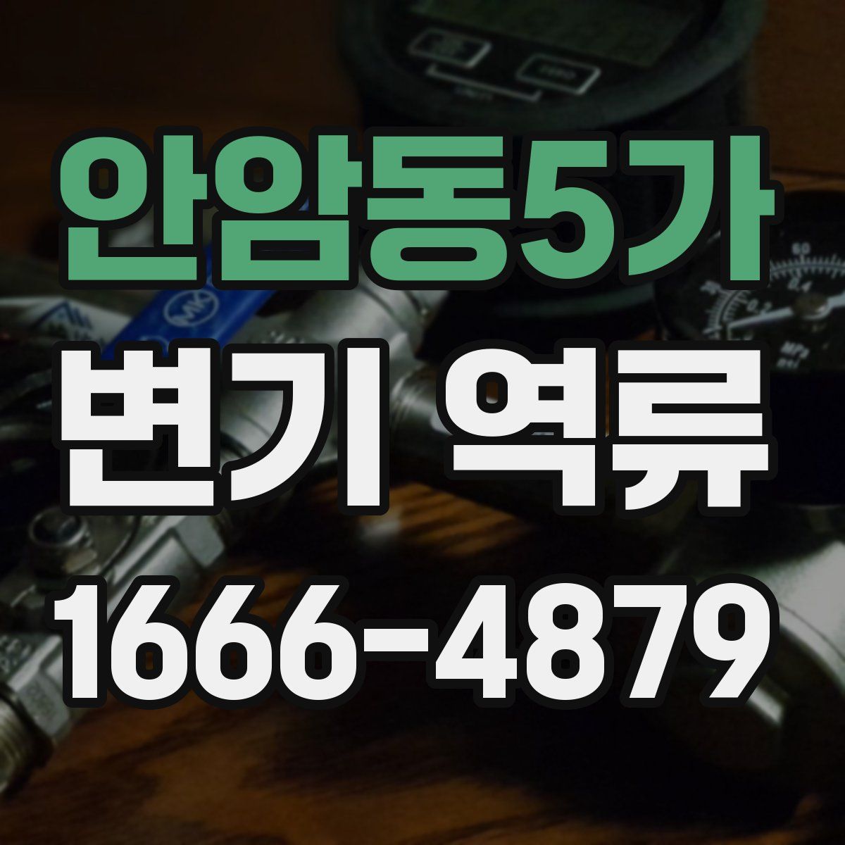 안암동5가 변기 역류