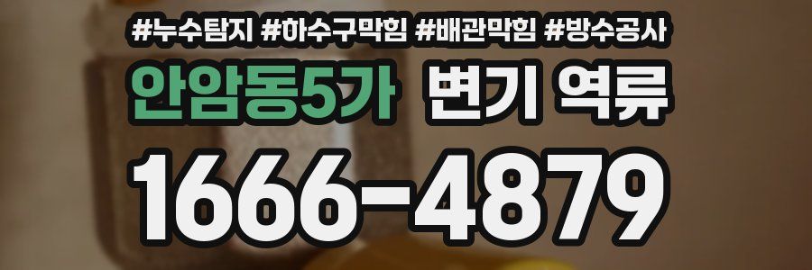 안암동5가 변기 역류