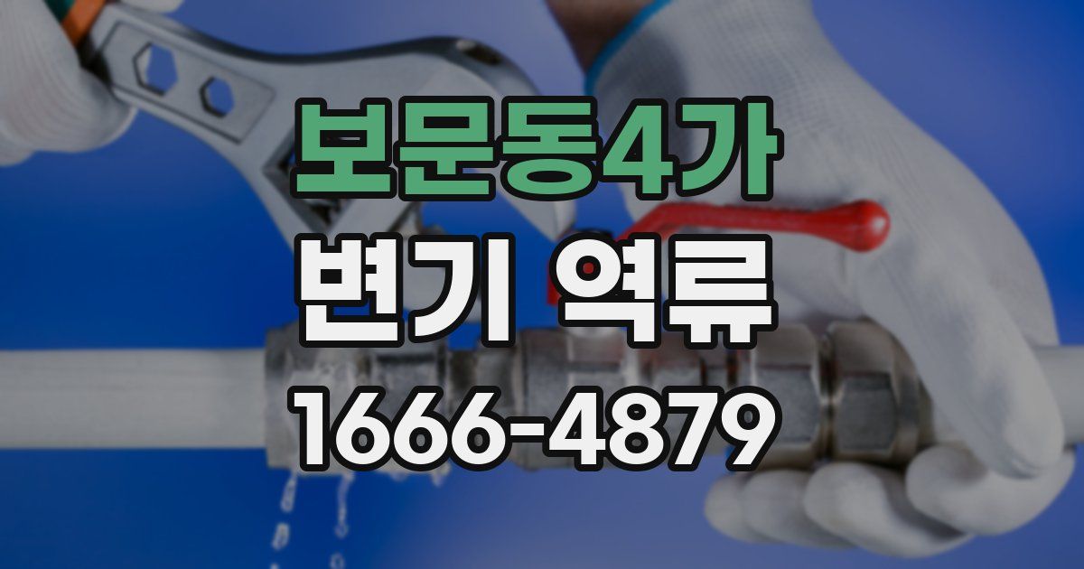 보문동4가 변기 역류